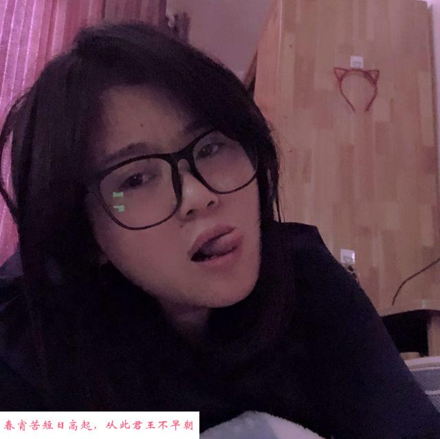 北城小浪浪 第3张